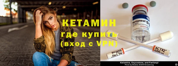 гашик Няндома