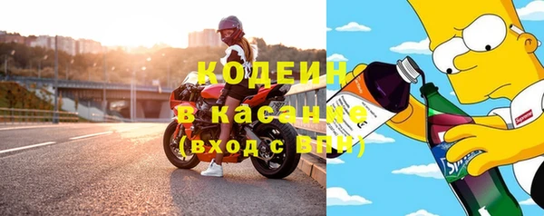 гашик Няндома