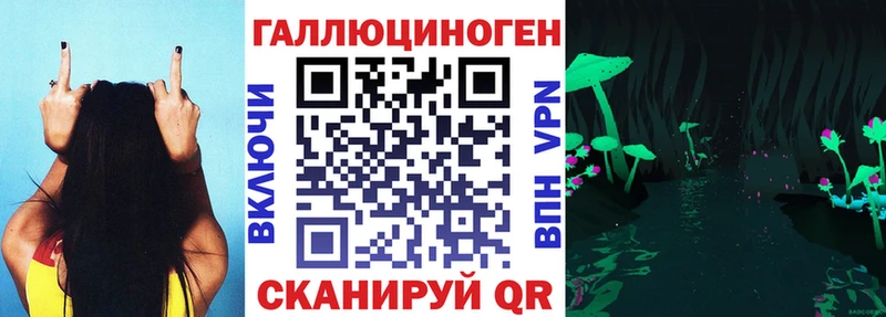 Галлюциногенные грибы прущие грибы  Мончегорск 